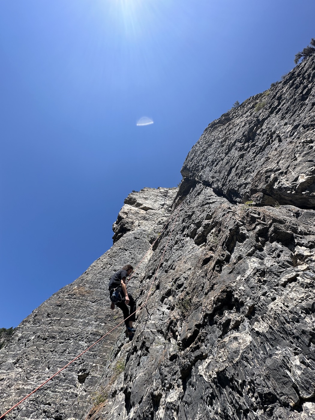 Jacob on the wall at Hard Rock.
